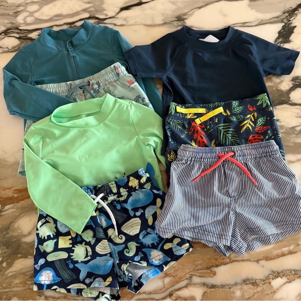 Lot of Boy’s Swimsuits and Rash Guards | 9-12 Month